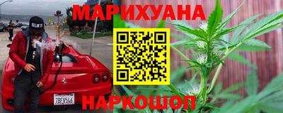 сатива Кунгур
