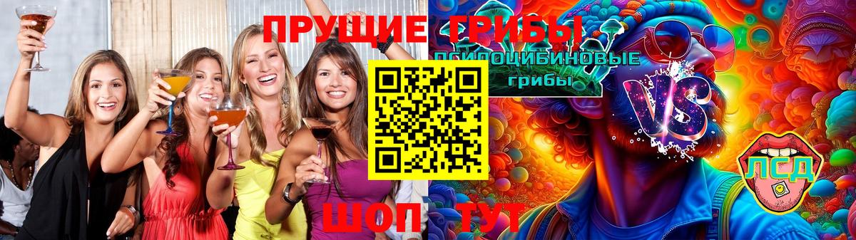 Псилоцибиновые грибы Psilocybine cubensis Чайковский