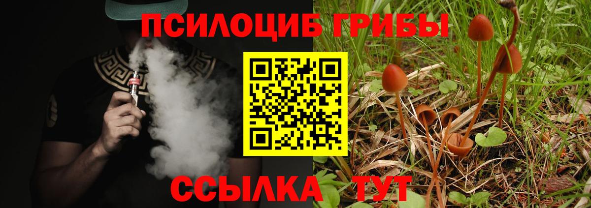 Галлюциногенные грибы Magic Shrooms  сколько стоит  Чайковский  Вход с VPN 