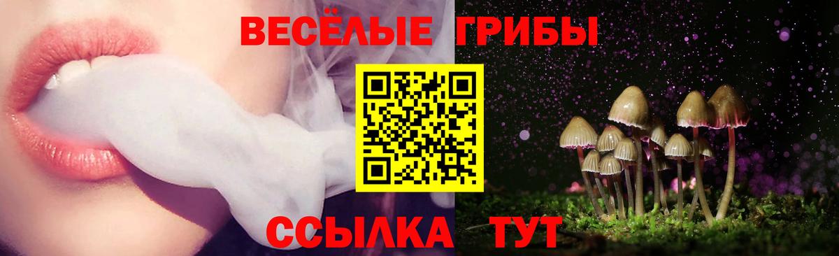 ГАШИШ  Чайковский  Бошки Шишки  Мефедрон   Вход с VPN 